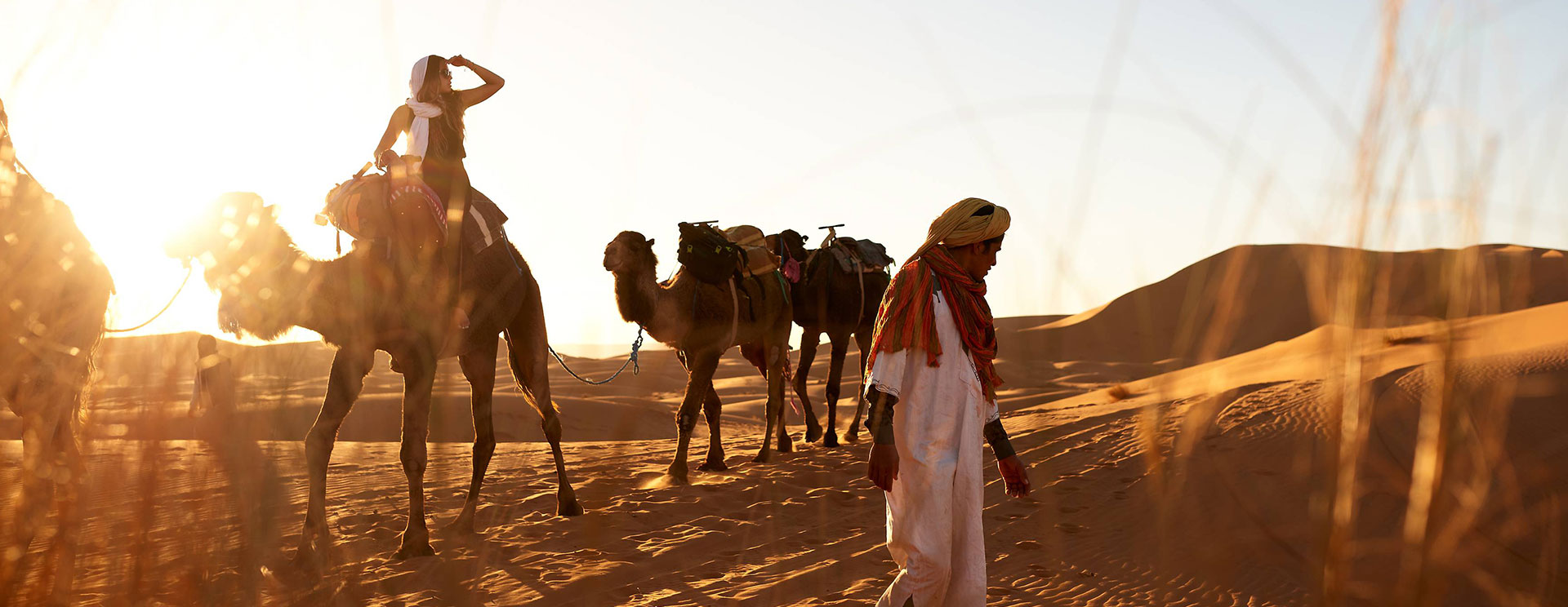 Marrakech desert tours