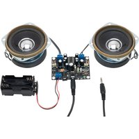 Rapid 2.5W Stereo Amplifier Kit Without Speakers