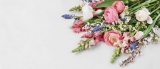 Sophy Crown Will Help You Find the Best Flowers for Delivery
