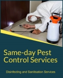 Excel Pest Control Delivers the Right Solutions