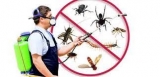 Bright Pest Control Will Help You Handle Any Pests