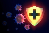 Be The First To Read What The Experts Are Saying About Best immune system boosters