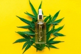 Make everything Easy With Best cbd oil companies