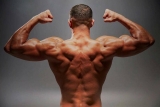 Top testosterone supplements – Bring More In Short Time