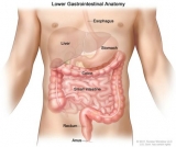 Colon Cancer Week raises awareness