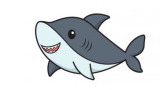 The Most Effective Way to Draw a Shark | Full Guide