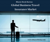 Global Business Travel Insurance Market: Analysis and Forecast 2025