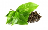 Green Tea Extract Market is expected to grow at a CAGR of 10%