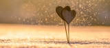 Why Pre-Marital Counselling Is Essential?