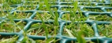 Global Turf Protection Products Market 2018 – The DOW Chemical Company, Idemitsu Kosan, Syngenta