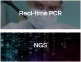 Top Molecular Diagnostic Companies in South Korea | SML Genetree