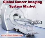 Global Cancer Imaging System Market: Size, Outlook, Trend and Forecast till 2024