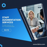 It staff augmentation service