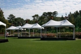 Texas Party Rental Delivers the Best Party Rentals