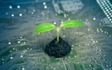 Digital Transformation and Sustainability