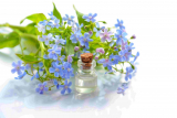 Wholesale essential oils from India