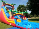 Rebound Party Rentals Delivers the Best Jumper Rentals