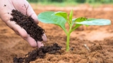 A Quick Look At The Latest Happenings In The Fertilizers  Market