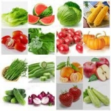 A Glimpse of What Lies Ahead for the Fruit and Vegetable Seeds Market