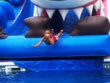 Graceland Bounce Delivers the Best Inflatable Rentals