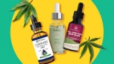 Learn Deep About CBD