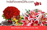 Make Celebration Unique with Birthday Gift Same Day Delivery to India