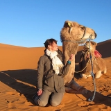 Marrakech desert tours