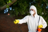 Pest PM Will Help You Get Rid of Pests