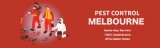 Prudent Pest Control Will Help You Deal with Pests