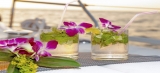 Want a great cocktail? Check out these 5 options at U.S.