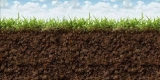 Soil Treatment Market By Competitive Landscape, Geographic & End-User Segment
