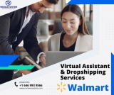 Why should you look for Walmart Dropshipping services?